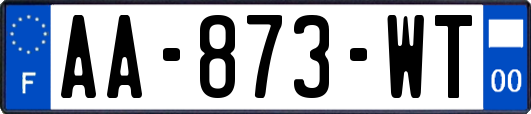 AA-873-WT