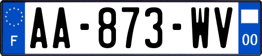 AA-873-WV