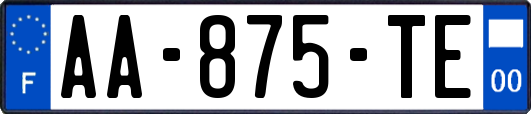 AA-875-TE