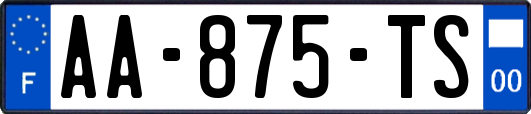 AA-875-TS