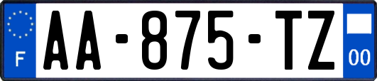 AA-875-TZ