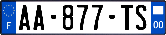 AA-877-TS