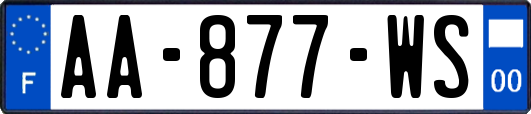 AA-877-WS