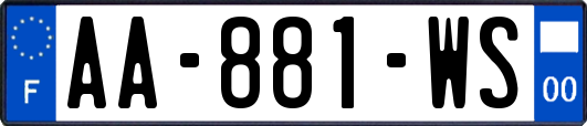 AA-881-WS