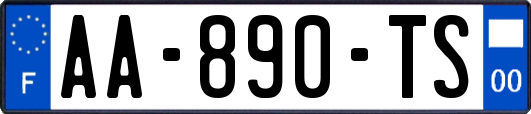 AA-890-TS