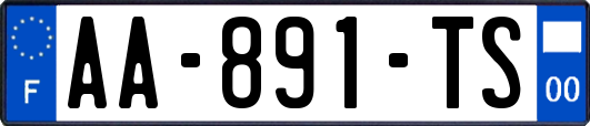 AA-891-TS