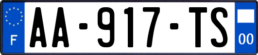 AA-917-TS