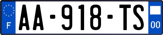 AA-918-TS