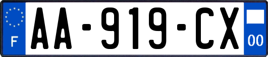 AA-919-CX