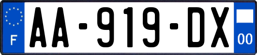 AA-919-DX