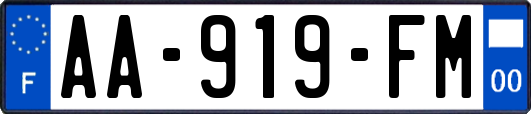 AA-919-FM