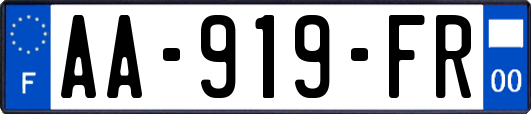 AA-919-FR