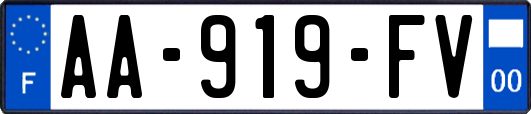 AA-919-FV