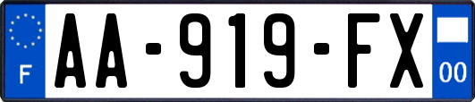 AA-919-FX