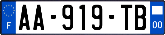 AA-919-TB