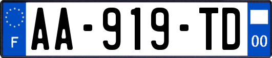 AA-919-TD