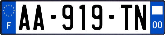 AA-919-TN