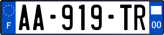 AA-919-TR