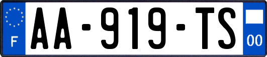 AA-919-TS