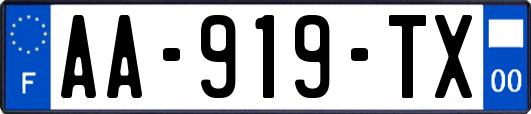 AA-919-TX