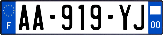 AA-919-YJ