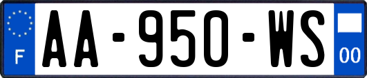 AA-950-WS