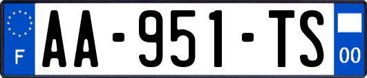 AA-951-TS