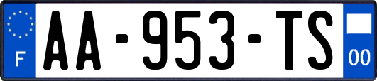 AA-953-TS