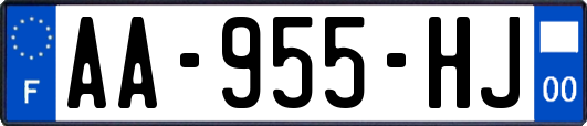 AA-955-HJ