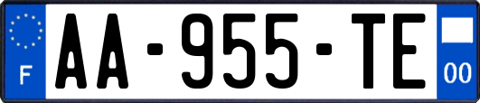 AA-955-TE