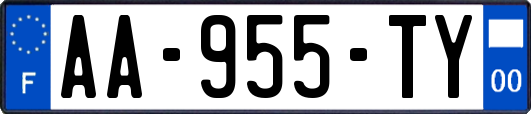 AA-955-TY