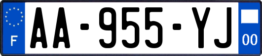 AA-955-YJ