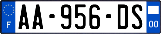 AA-956-DS