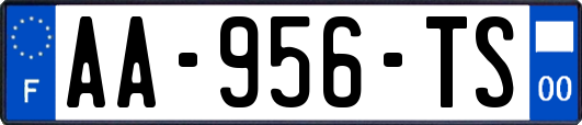 AA-956-TS