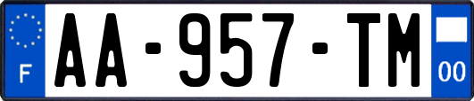 AA-957-TM