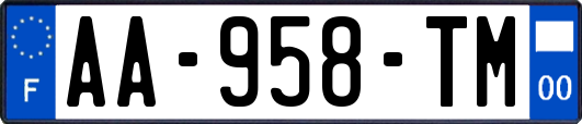 AA-958-TM