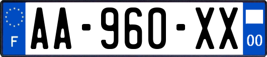 AA-960-XX