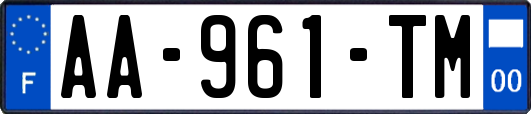 AA-961-TM