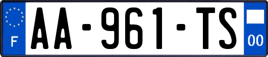 AA-961-TS