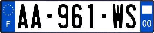 AA-961-WS