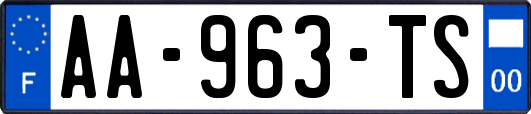 AA-963-TS