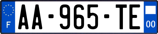 AA-965-TE