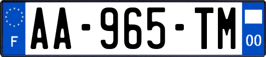 AA-965-TM