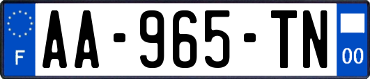 AA-965-TN