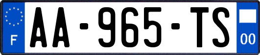 AA-965-TS