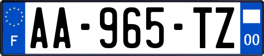 AA-965-TZ