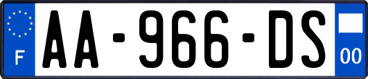 AA-966-DS