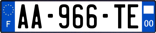 AA-966-TE