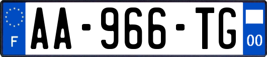 AA-966-TG