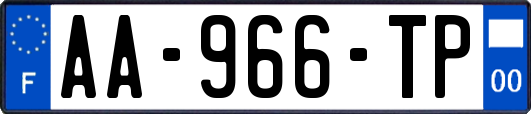 AA-966-TP